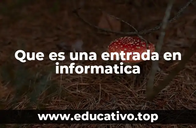 El papel de la entrada en el flujo de datos informáticos