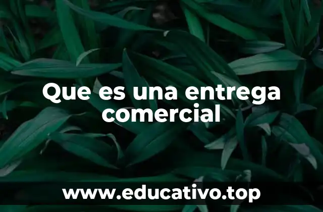 Que es una entrega comercial