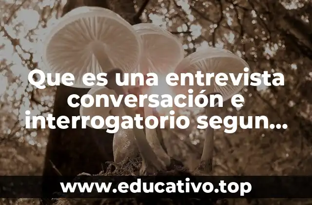 Que es una entrevista conversación e interrogatorio segun autores