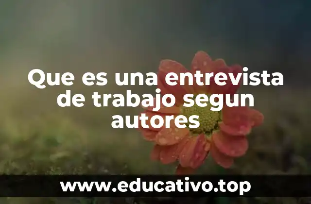 Que es una entrevista de trabajo segun autores
