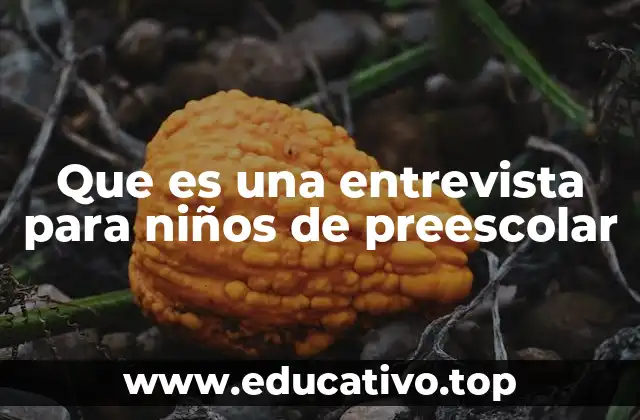 Que es una entrevista para niños de preescolar