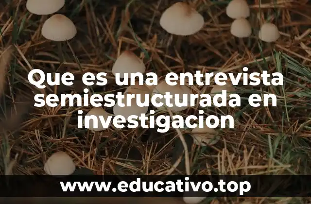 Que es una entrevista semiestructurada en investigacion