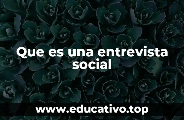 Que es una entrevista social