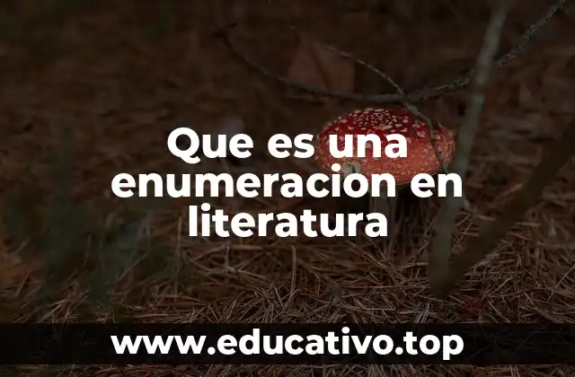 Que es una enumeracion en literatura