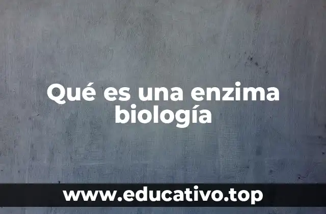 Qué es una enzima biología