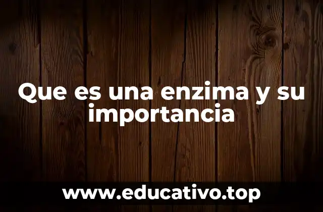 Que es una enzima y su importancia