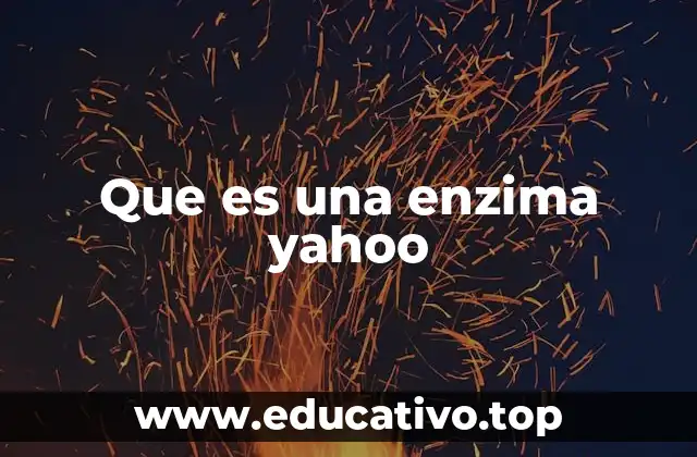 Que es una enzima yahoo