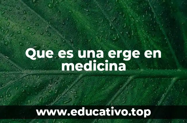 Que es una erge en medicina