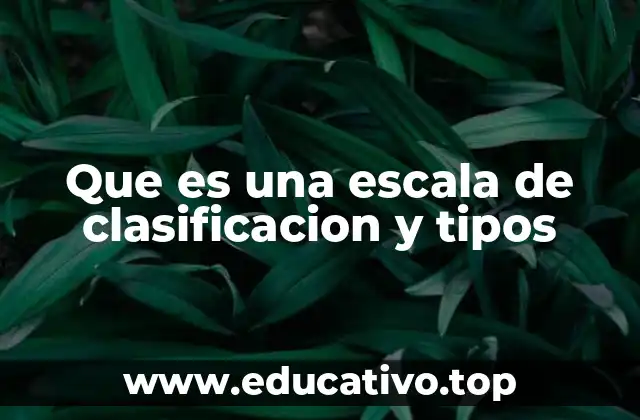 Que es una escala de clasificacion y tipos