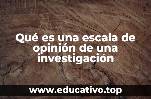 Qué es una escala de opinión de una investigación