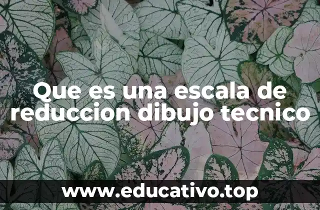 Que es una escala de reduccion dibujo tecnico