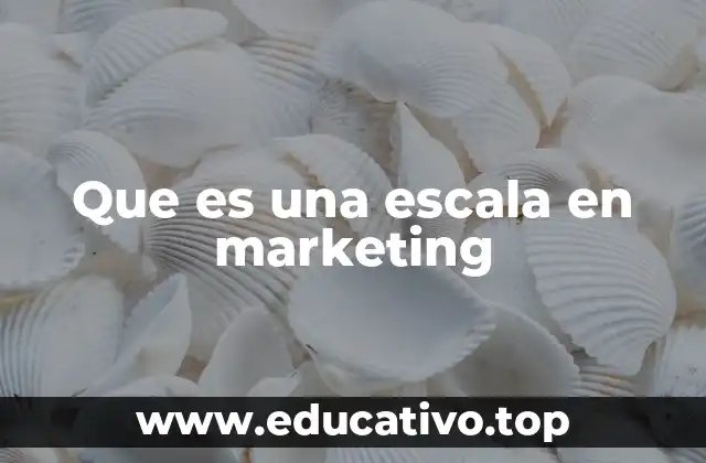 Que es una escala en marketing