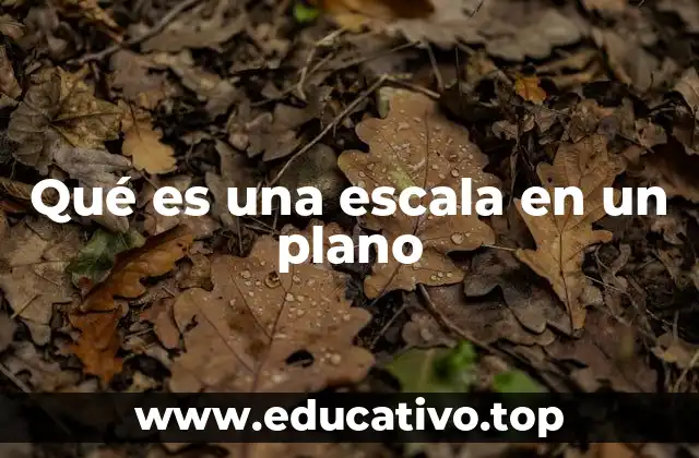 Qué es una escala en un plano