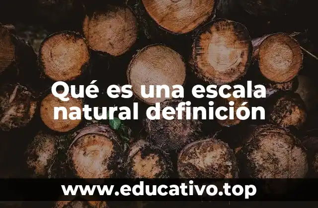 Qué es una escala natural definición