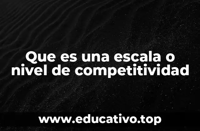 Que es una escala o nivel de competitividad
