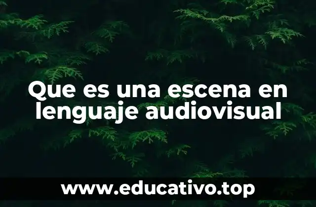 Que es una escena en lenguaje audiovisual