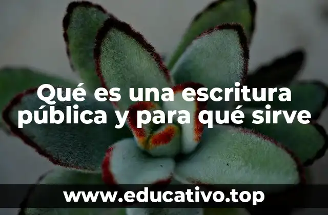 Qué es una escritura pública y para qué sirve
