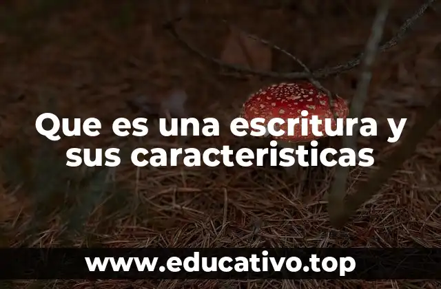 Que es una escritura y sus caracteristicas