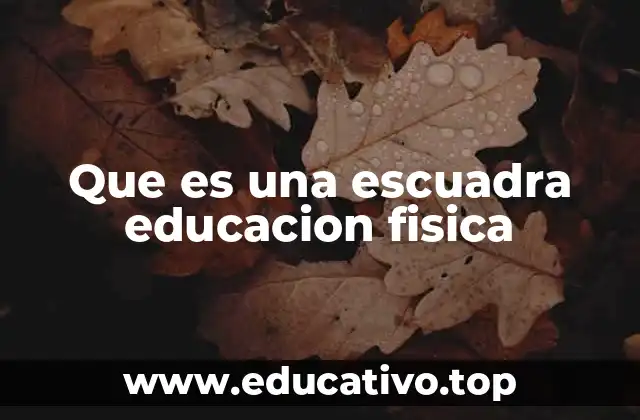 Que es una escuadra educacion fisica