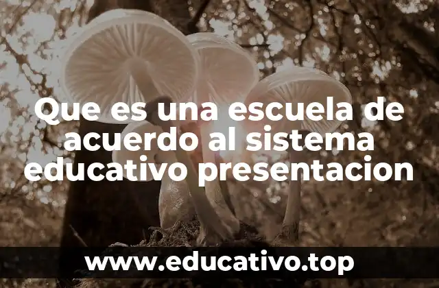 Que es una escuela de acuerdo al sistema educativo presentacion