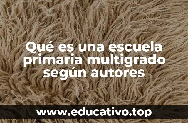 Qué es una escuela primaria multigrado según autores