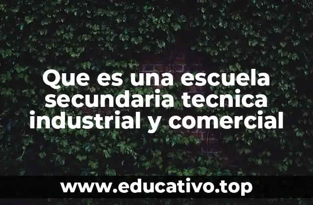 Que es una escuela secundaria tecnica industrial y comercial