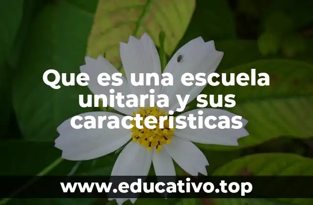 Que es una escuela unitaria y sus caracteristicas