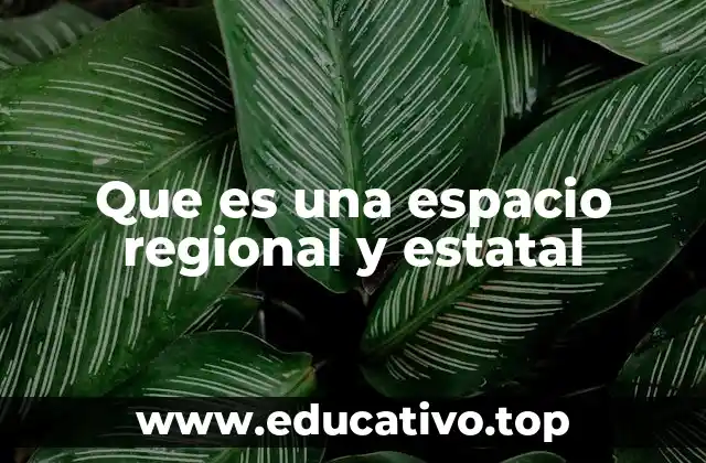 Que es una espacio regional y estatal