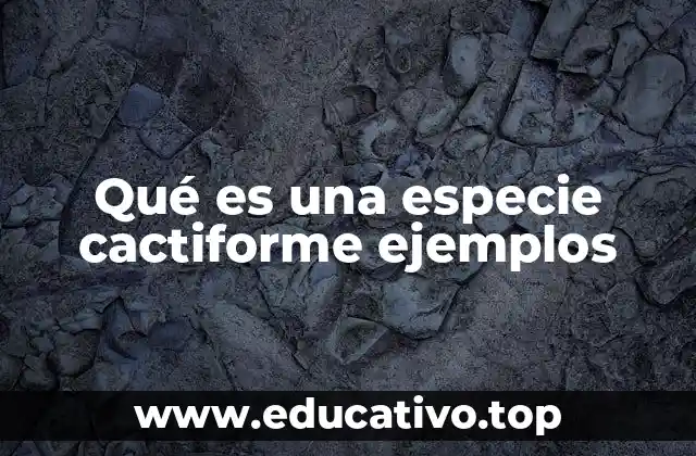 Qué es una especie cactiforme ejemplos