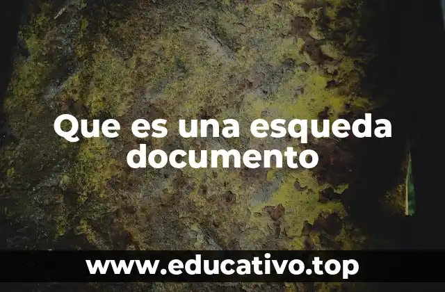 Que es una esqueda documento