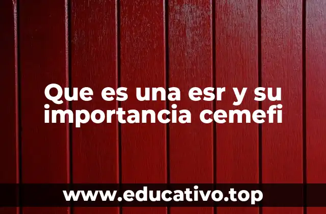 Que es una esr y su importancia cemefi