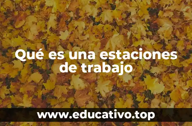 Qué es una estaciones de trabajo