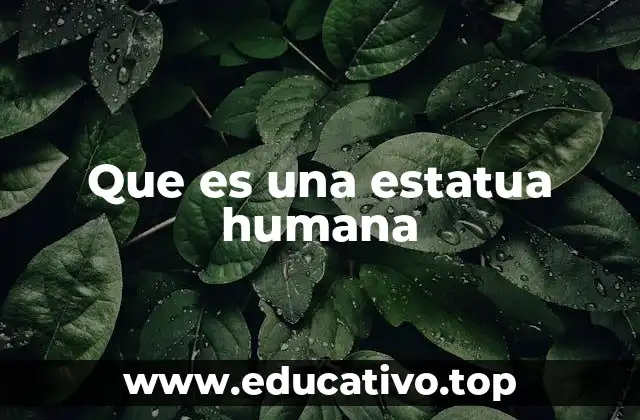 Que es una estatua humana