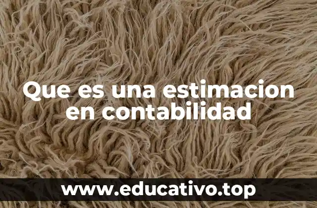 Que es una estimacion en contabilidad