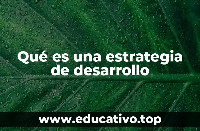 Qué es una estrategia de desarrollo