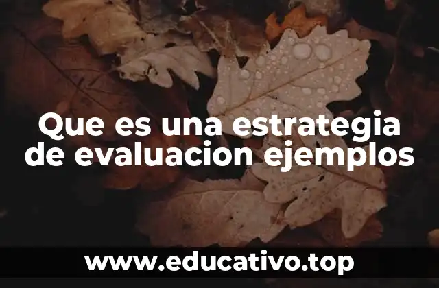Que es una estrategia de evaluacion ejemplos