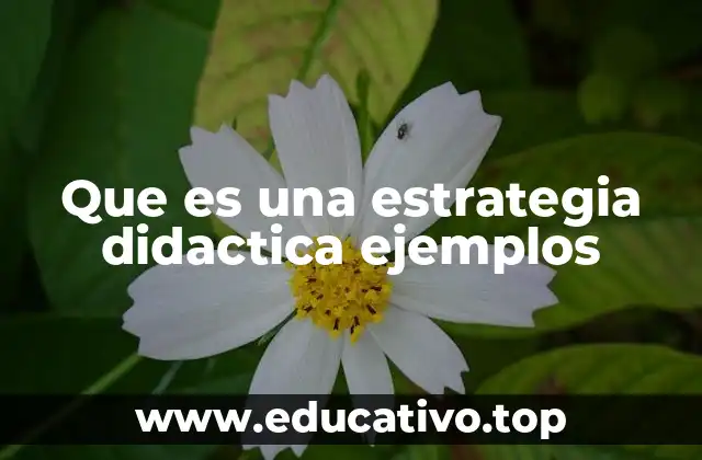 Que es una estrategia didactica ejemplos
