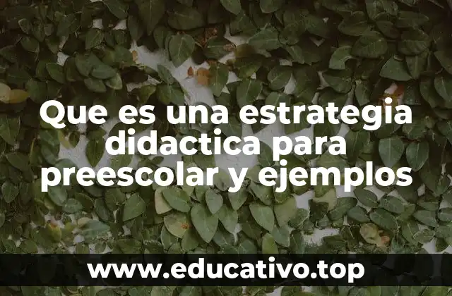Que es una estrategia didactica para preescolar y ejemplos