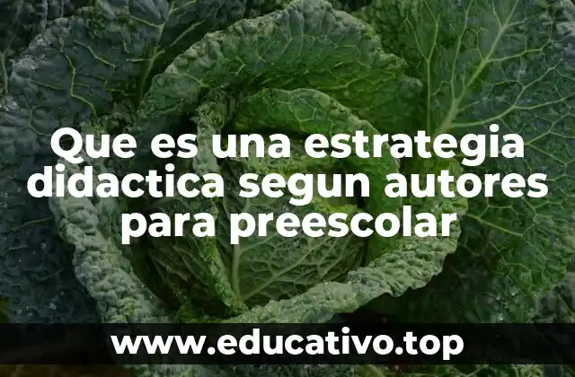 El papel de las estrategias didácticas en la formación temprana