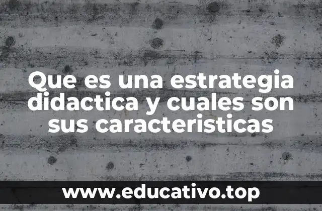 Que es una estrategia didactica y cuales son sus caracteristicas