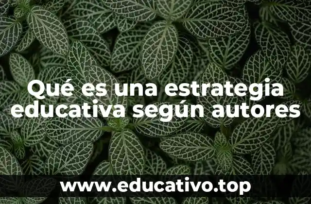 Qué es una estrategia educativa según autores