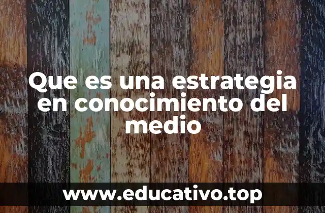 Que es una estrategia en conocimiento del medio