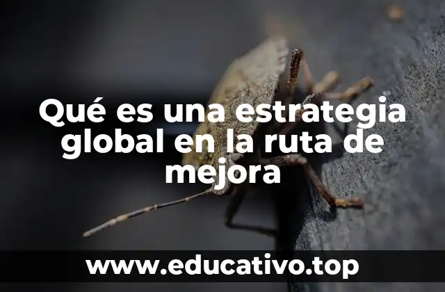 Qué es una estrategia global en la ruta de mejora