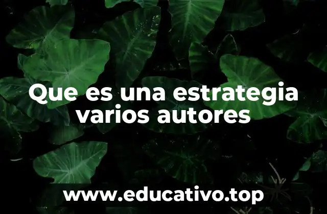 Que es una estrategia varios autores