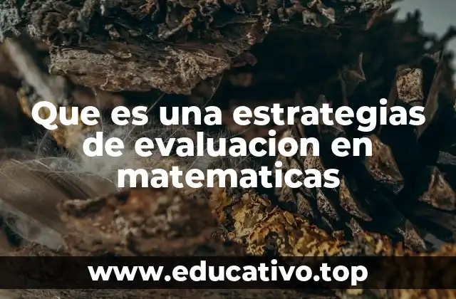 Diversidad de enfoques para medir el aprendizaje matemático
