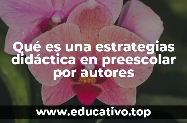Qué es una estrategias didáctica en preescolar por autores