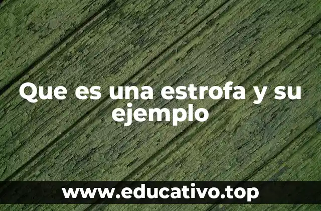 Que es una estrofa y su ejemplo