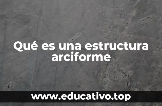 Qué es una estructura arciforme