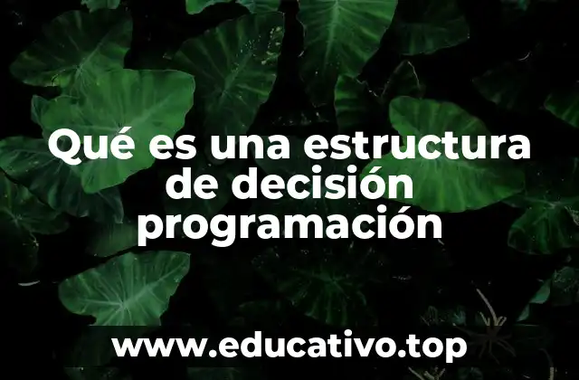 Qué es una estructura de decisión programación