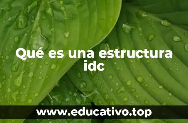 Qué es una estructura idc